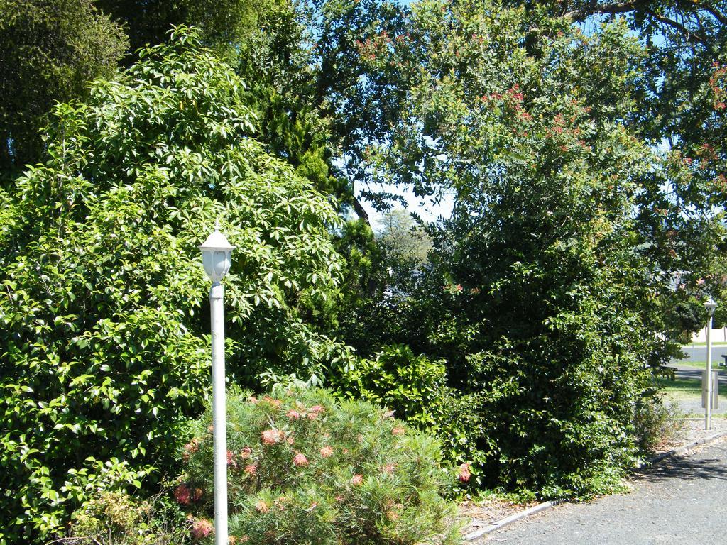 Bega Caravan Park Eksteriør bilde